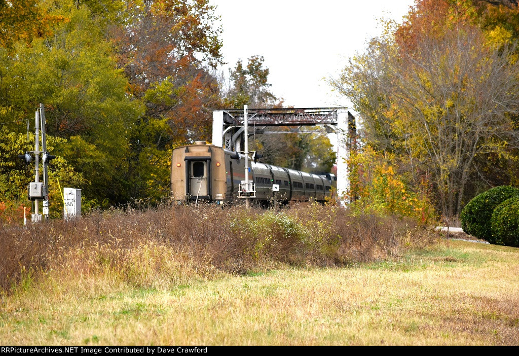 Palmetto Train 90